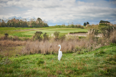 Metropolitan Golf Course