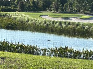 Lakewood National Kridel Lakewood National Kridel