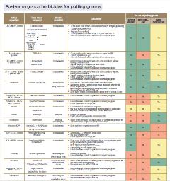 Weed management options on golf course putting greens